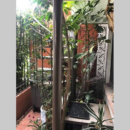 Amplia Habitacion Tipo Ejecutiva Con Bano Y Acceso Privados Toluca Eksteriør bilde