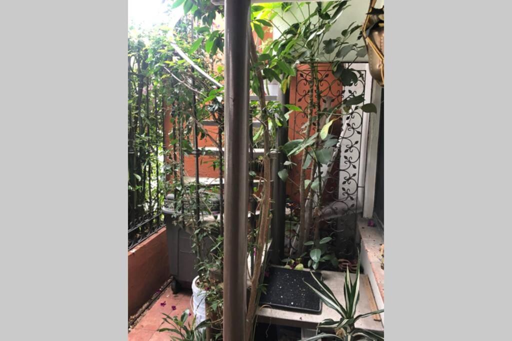 Amplia Habitacion Tipo Ejecutiva Con Bano Y Acceso Privados Toluca Eksteriør bilde